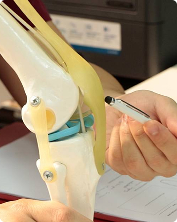 Improving Strength and Balance in the Elderly