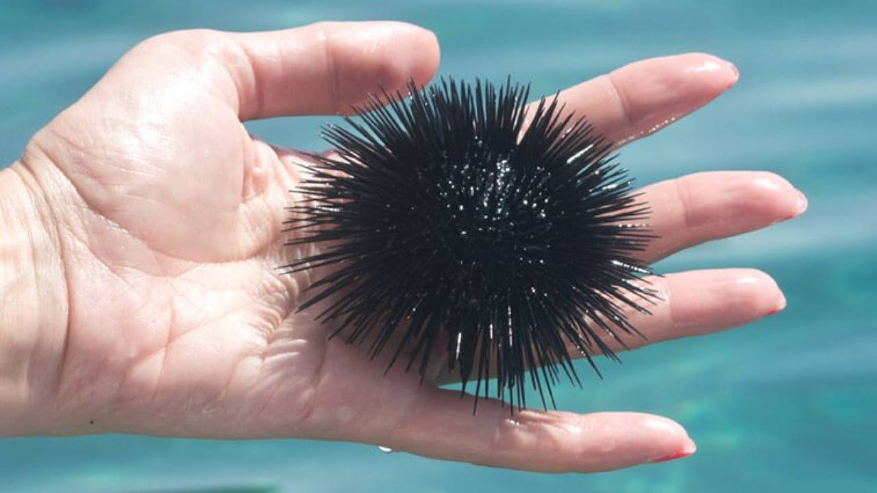 hidden-dangers-of-singapores-beaches-image-1