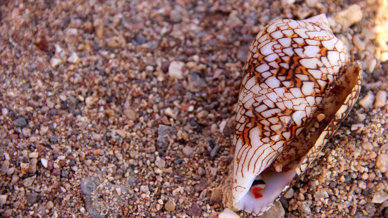 hidden-dangers-of-singapores-beaches