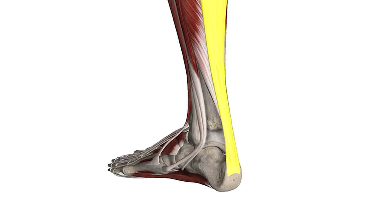 teachers-days-2019-image-2