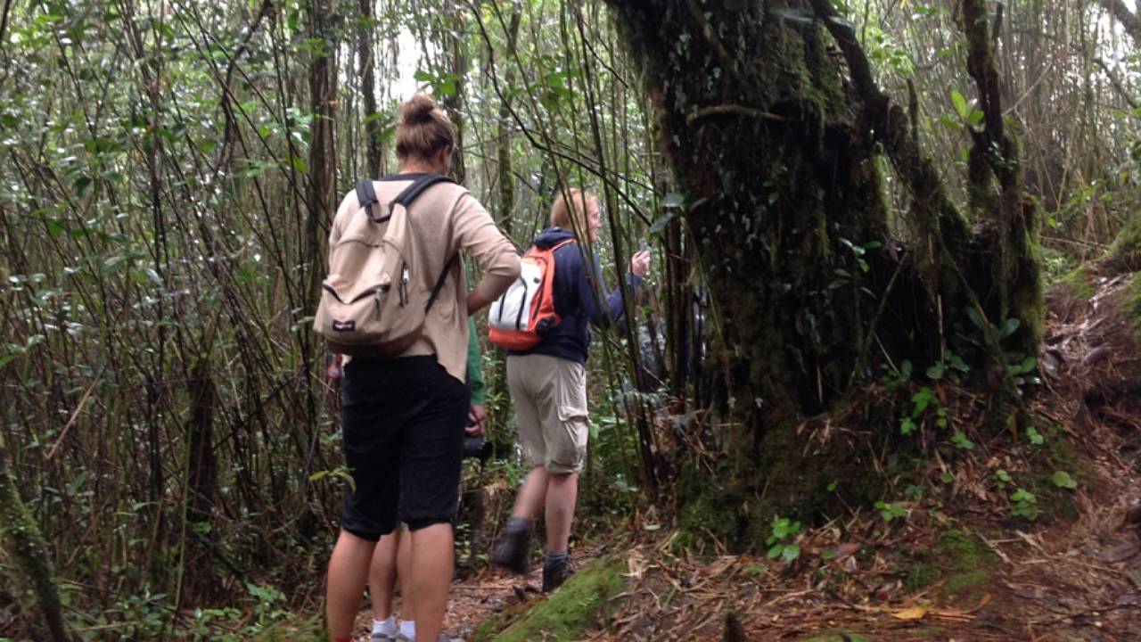 Hiking in the Tropics | East Coast Podiatry