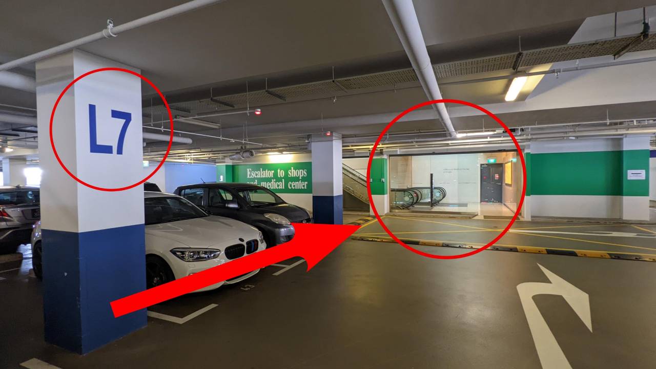 Drive up and park on LEVEL 7. Walk towards the glass sliding doors on this level and you will see up riding escalators
